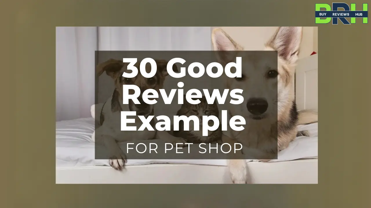 30 Good Pet Shop Review Example